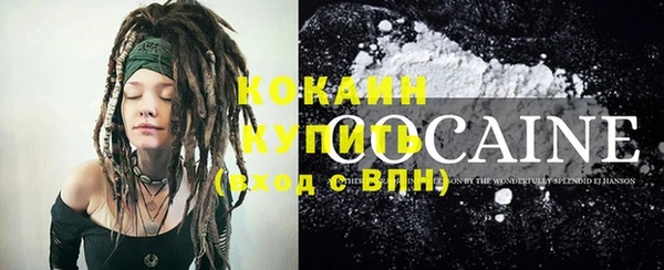 мдпв Осинники