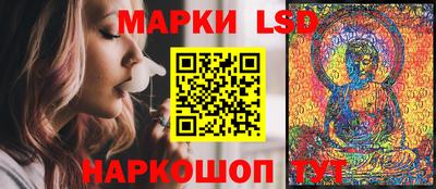 индика Апшеронск