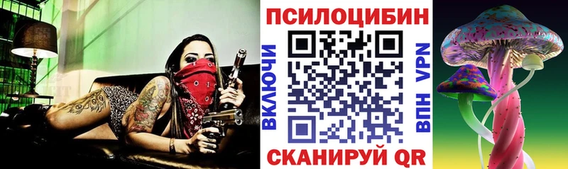 Псилоцибиновые грибы мухоморы  Истра 