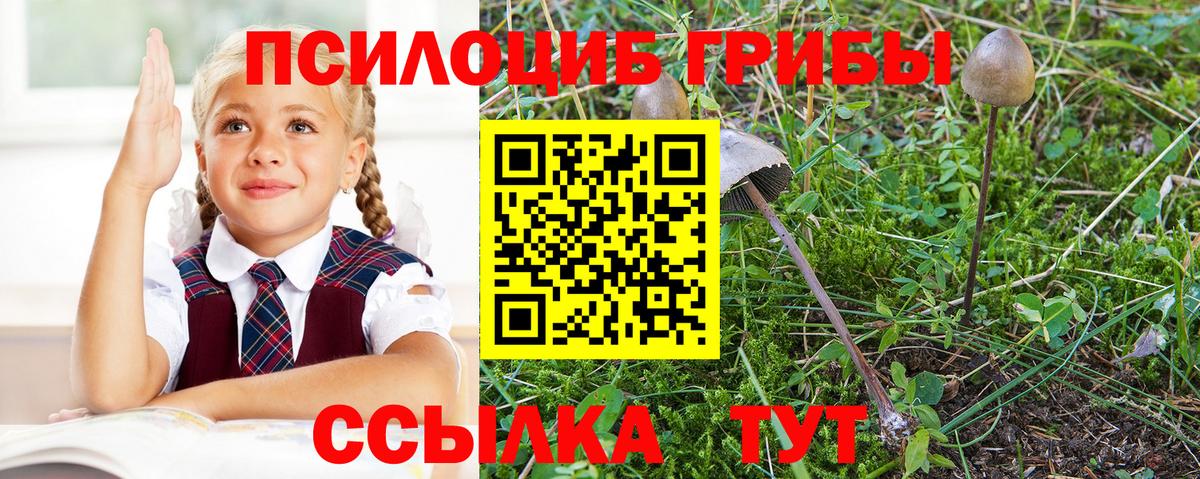 Галлюциногенные грибы мухоморы Истра