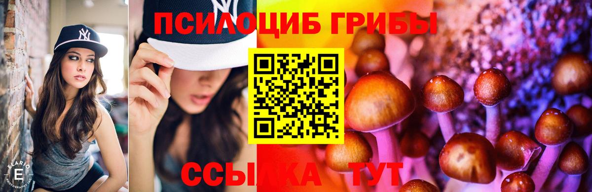 Истра  Псилоцибиновые грибы MAGIC MUSHROOMS  купить   Вход с VPN 